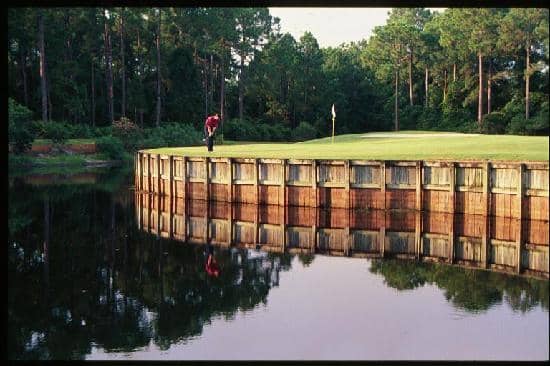 Pristine Fairways and Greens