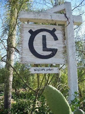 Meticulously Landscaped Gardens