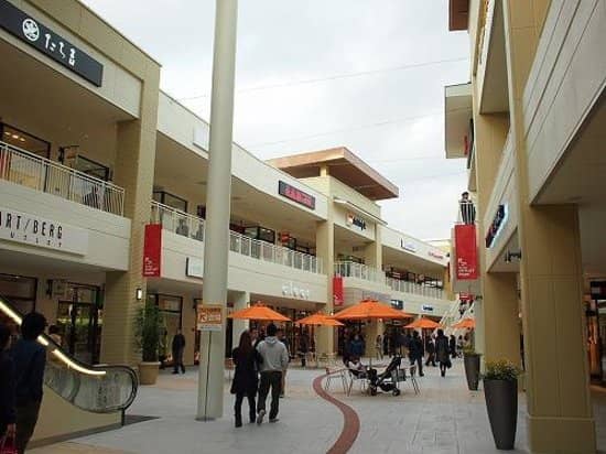 Family-Friendly Open Field