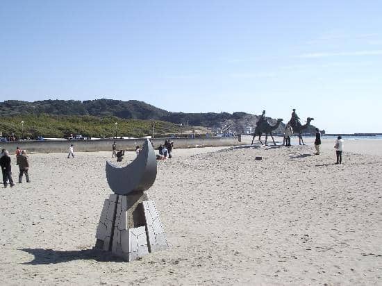 Tranquil Sunset Views