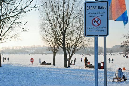 Rowing Event Spectacle