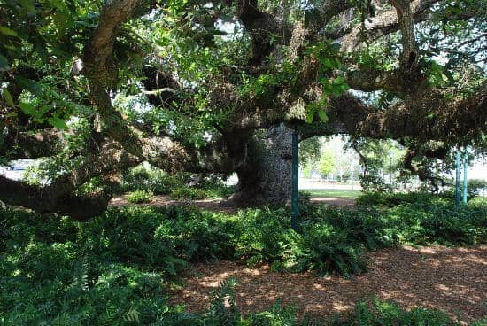 Historic Cemetery