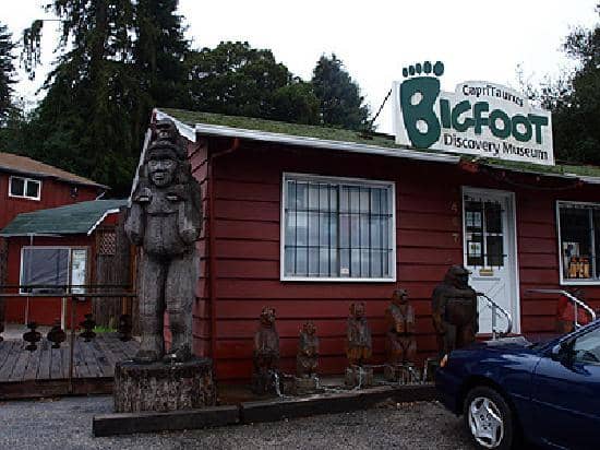 Curator's Personal Collection