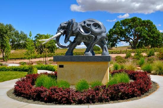Award-Winning Wines