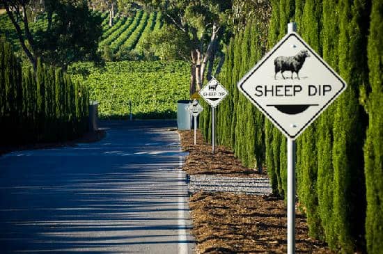 Storytelling Wine Tastings