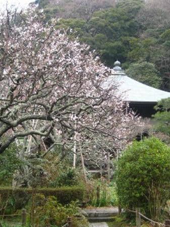 Kannon-do Hall