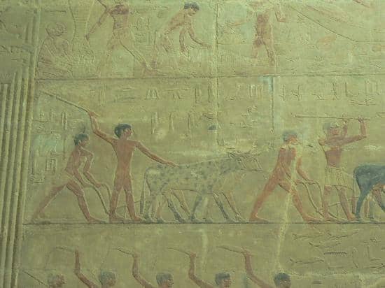 Intricate Daily Life Reliefs