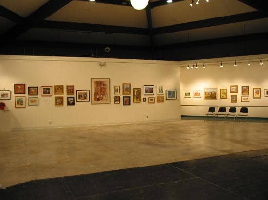 Local Artist Showcases