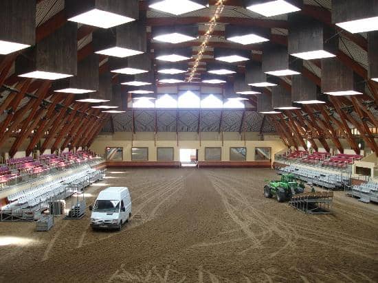 Horse Training Sessions