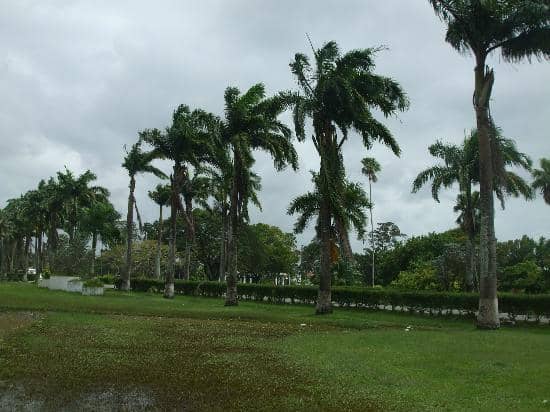 Guyana Zoological Park