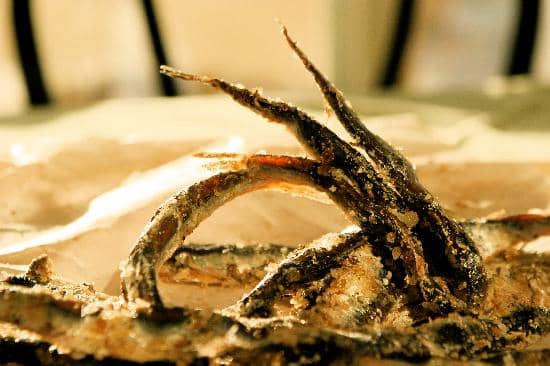 Vibrant Atmosphere & Dance Party