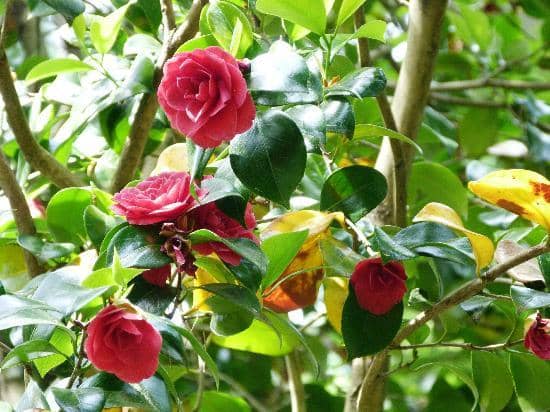 Children's Play Area