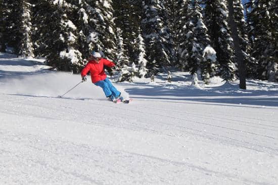 Alpine Slide Thrills