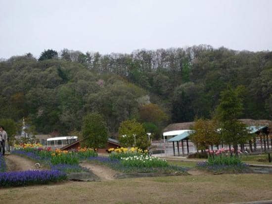 Expansive Playgrounds