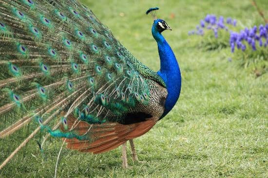 Ambition & Illusion Exhibition