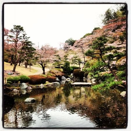Hachimanyama Animal Park