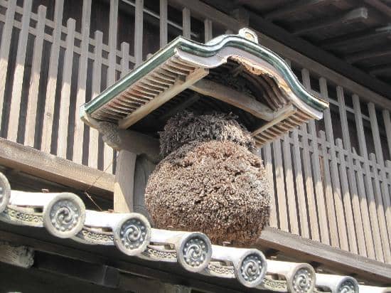 Authentic Sake Brewery