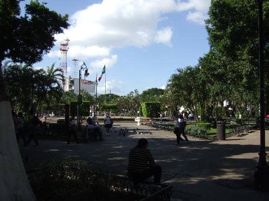 Vibrant Evening Ambiance