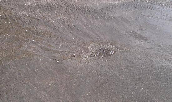 Geothermal Activity