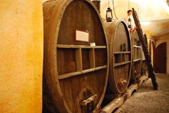 Guided Wine Tasting