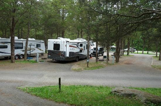 Horseback Riding Adventures