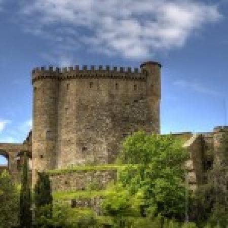Explore the Castle Grounds