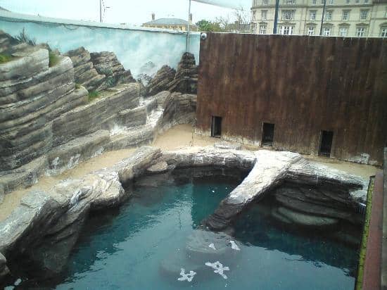 Interactive Touchpool