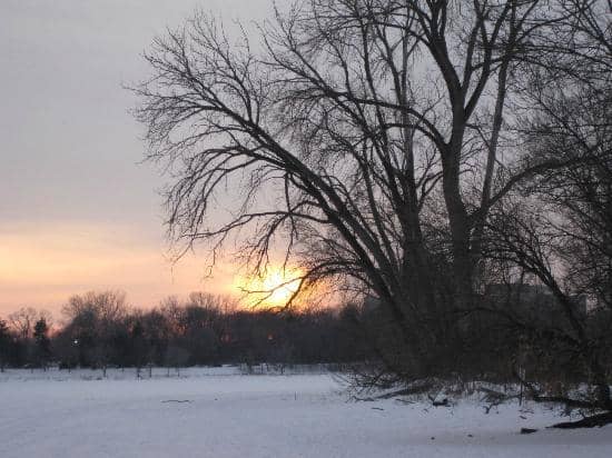 Luminary Loppet Magic