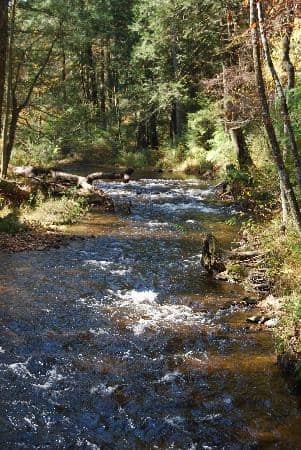 Appalachian Trail Museum