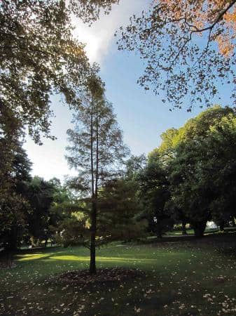 Diana Memorial Playground