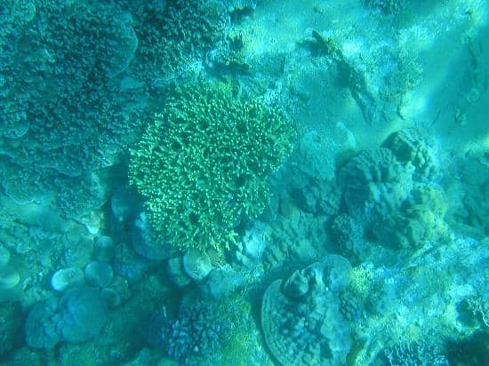 Crystal Clear Waters