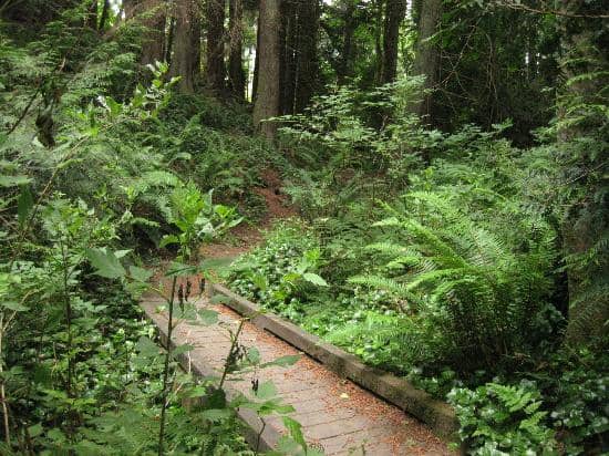 WWII Radar Tower & Observatory