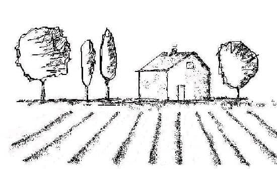 Third hero image