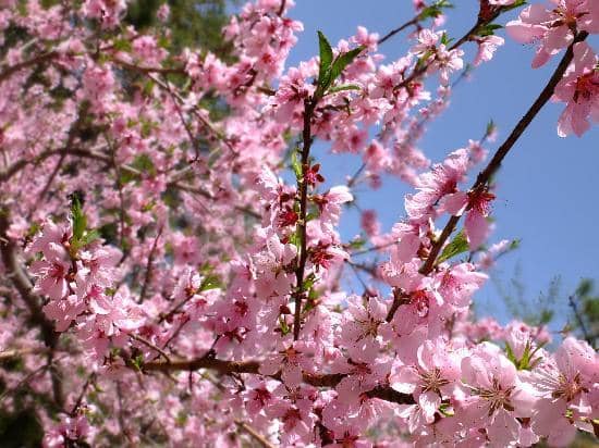 Geumjeongsanseong Fortress Walls