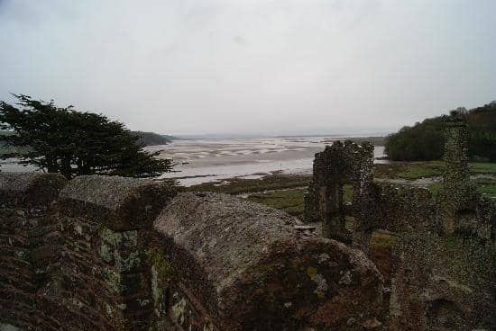 Vertical photo