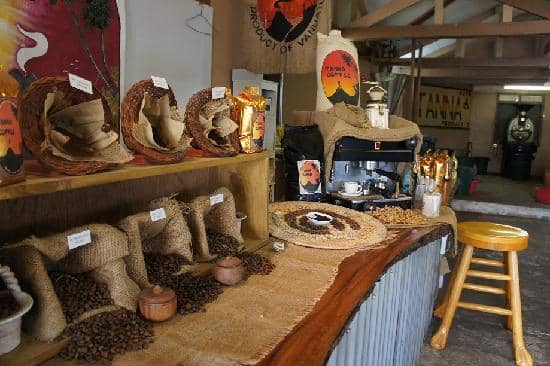 Rich & Aromatic Coffee