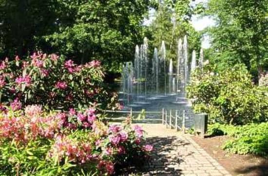 Peaceful Walking Paths