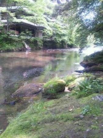 Picnic Area