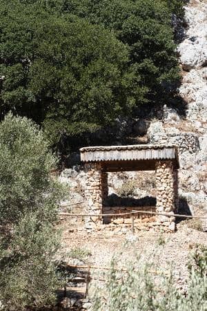 Diverse Animal Encounters