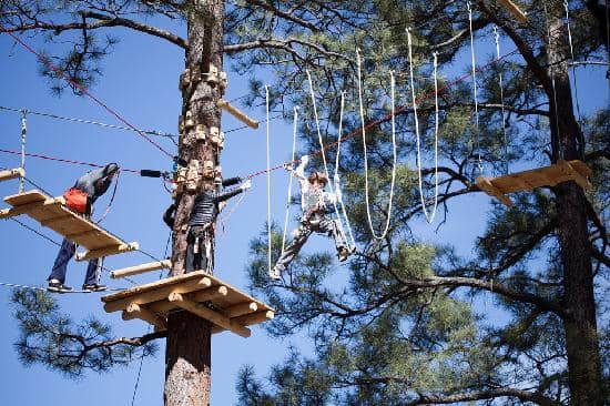 Epic Ziplines