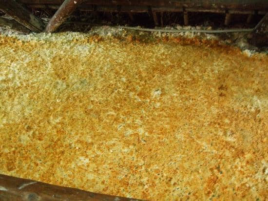 Private Bath Rentals