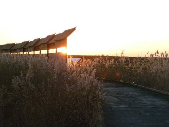 Accessible Boardwalks