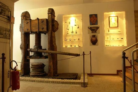 Olive Oil Tasting Experience