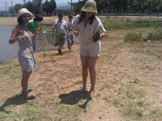 Ancient Ruins Exploration