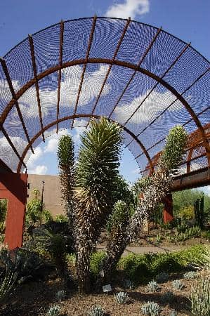 Butterfly Garden