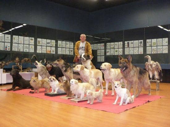 Affordable Souvenirs