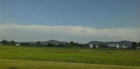 Multi-Use Paved Path