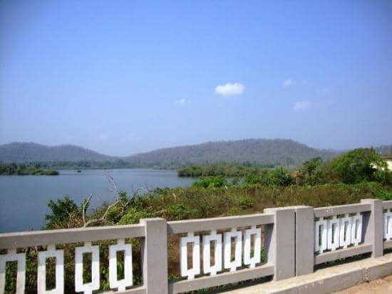 Lush Greenery & Landscapes