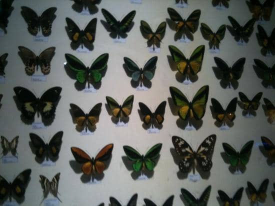 Community Performance Space