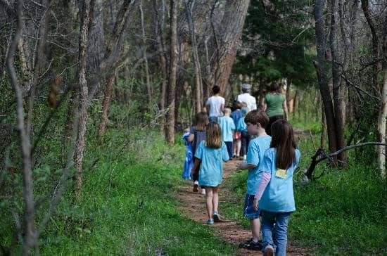 Dino Dig & Children's Garden